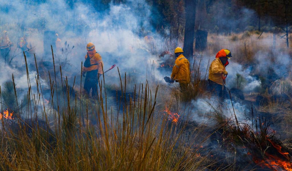 incendio 1.jpg