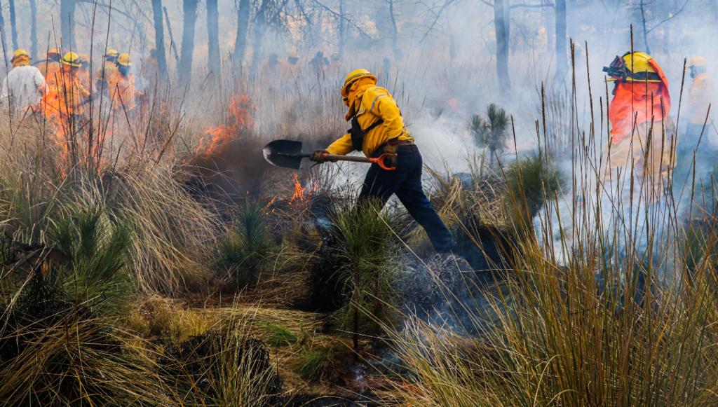 Incendio 4.jpg