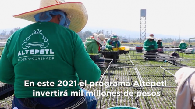 Programa Altepetl 2021