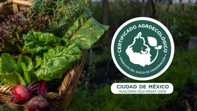 Certificado Agroecológico