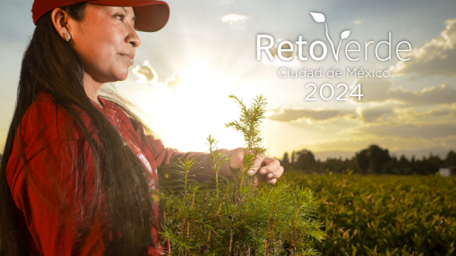 Reto Verde 2024