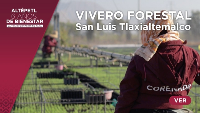 Vivero forestal San Luis Tlaxialtemalco