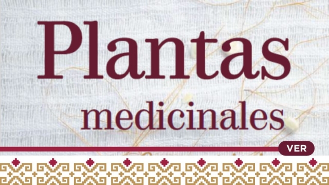 Plantas medicinales