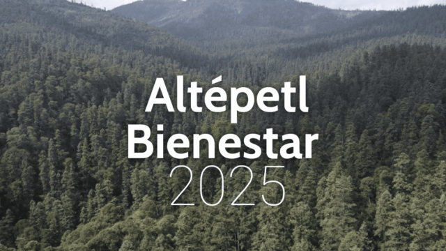Altépetl Bienestar 2025