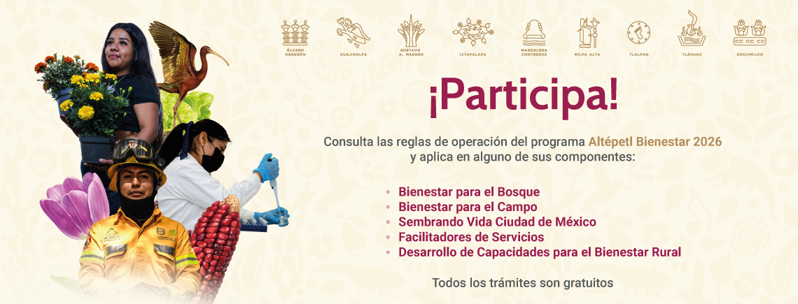 Reglas de operación 2026