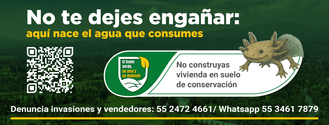 ¡No te dejes engañar!